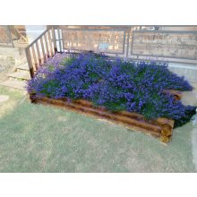 LogSanctuary - Virágágyás / Magaságyás (EGYEDI MÉRET)