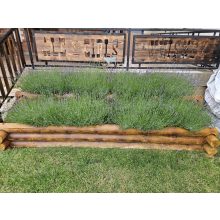 LogSanctuary - Virágágyás / Magaságyás (EGYEDI MÉRET)